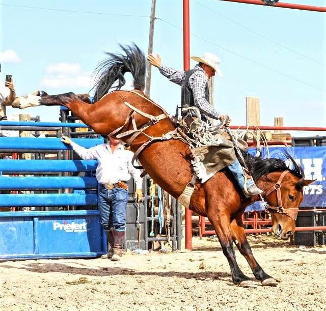 Bronc riding with style. (Courtesy of Taylor Cambra)